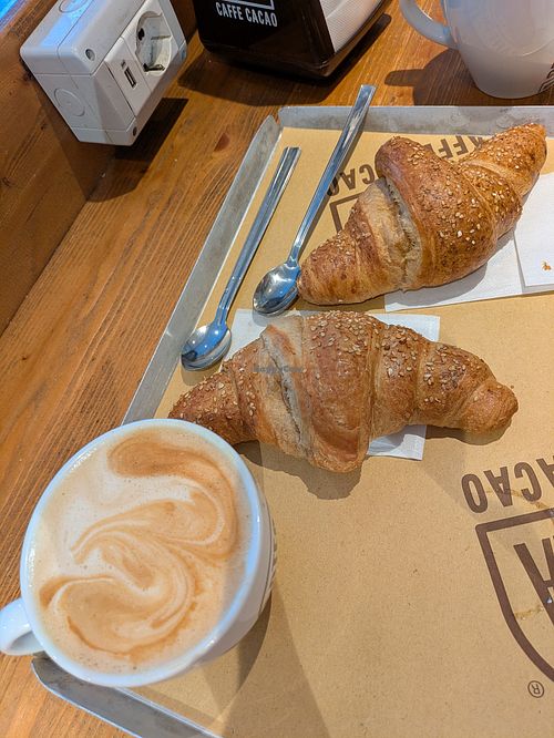 Large cappuccino and vegan brioche at Botega Caffe Cacao Bergamo in Bergamo