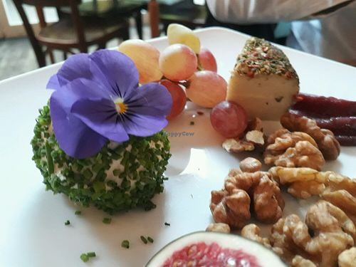 Say Cheeze! at Elle n' Belle in Zurich