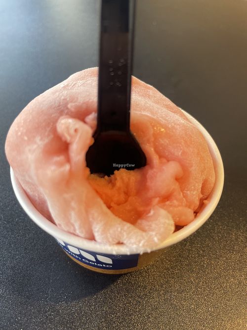 Blood orange gelato with mochia  at Gelateria Uni in Sapporo