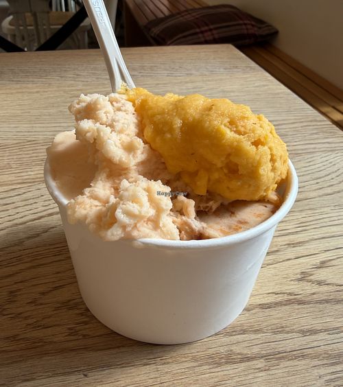 apricot, cantaloupe, sea buckthorn!  at Puro Gelato in Prague
