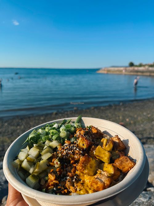 Tofu satay bowl  at Sprout & Co Monkstown  in Dublin