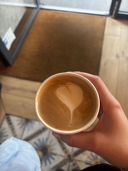 Cappu with oat milk  at Espresso Perfetto in Bonn