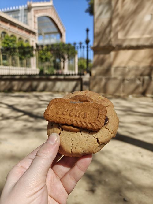 Lotus cookie at Demasie in Barcelona