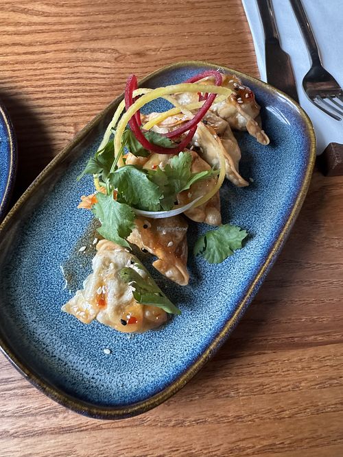 Vegetable goyzas very tasty!   at You Me & Umami (Lechlade) in Lechlade
