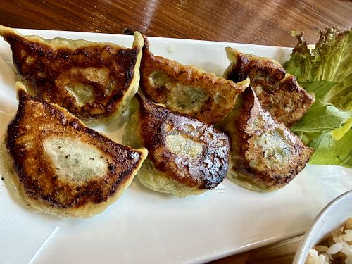 Tofu and veggie gyoza   at Ukishima Gyoza in Naha