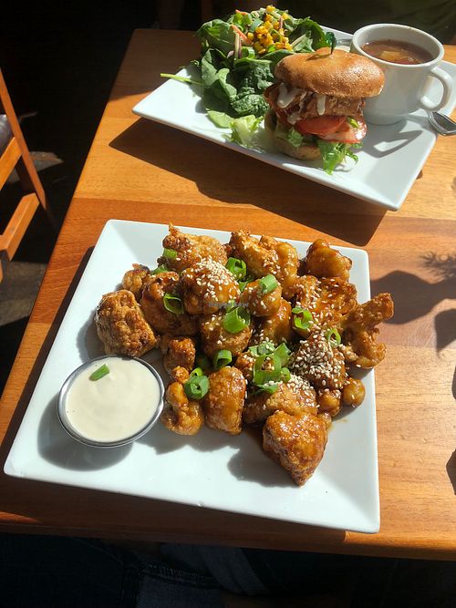 Lunch at Viva in Tacoma