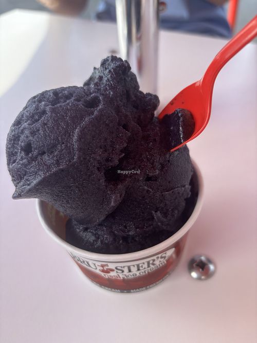 Grape frozen ice   at Bruster's Real Ice Cream  in Williamsport