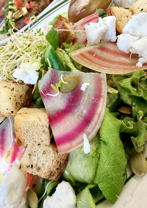 Vegan Salad.   at Grey's Diner & Community Kitchen in Charlotte