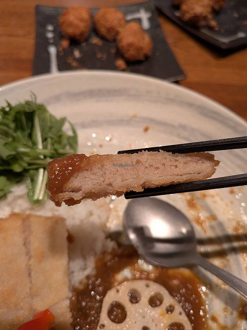 Katsu closeup at HONOLU HALAL RAMEN＆WAGYU KOBE Vegan option 帆のるぷれみあ神戸 in Kobe