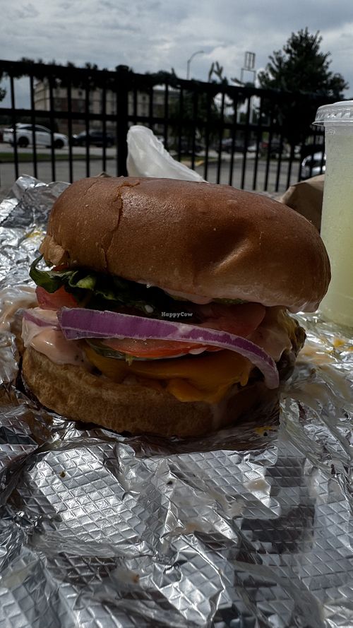 The bun was incredible   at Red Bird Vegan in St Louis