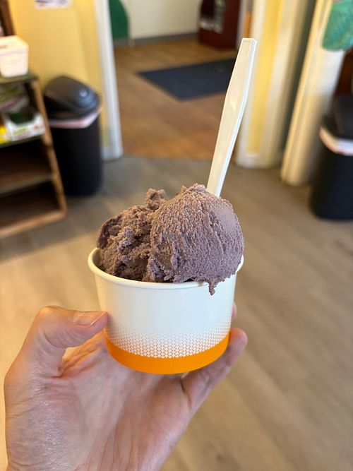 Vegan Blueberry Icecream, small at The Saco Scoop in Saco