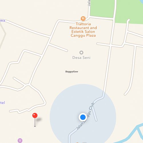 google maps is wrong Blue Dot is where the place is at Banana Leaf Vegan Thai Fusion in Canggu