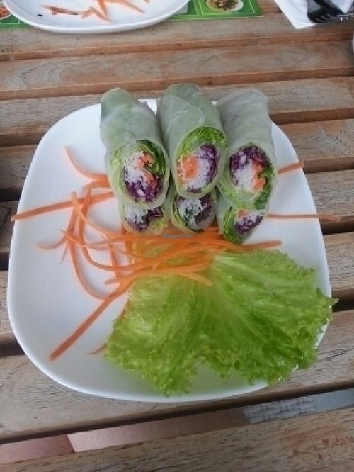 involtini di verdure at Banana Leaf Vegan Thai Fusion in Canggu