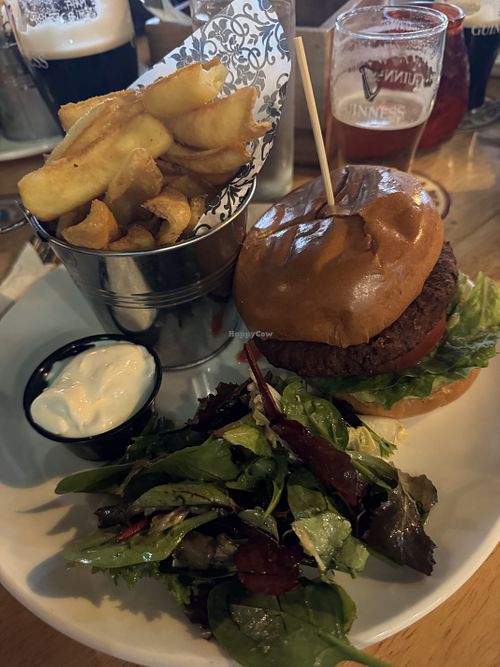 Vegan burger with fries and side saladd  at The Voyager Bar & Restaurant Dublin  in Dublin