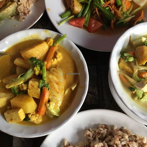 delicious food  at May Kaidee Chiang Mai in Chiang Mai