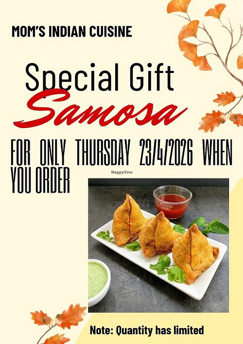 Home cooked vegan indian style samosa at Mom's Indian Cuisine in Ho Chi Minh City