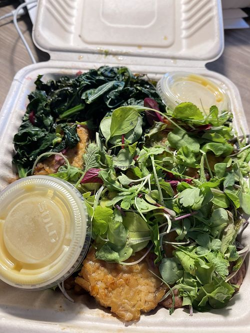 Healing Plate is delicious!  at French Meadow Bakery & Cafe in St Paul