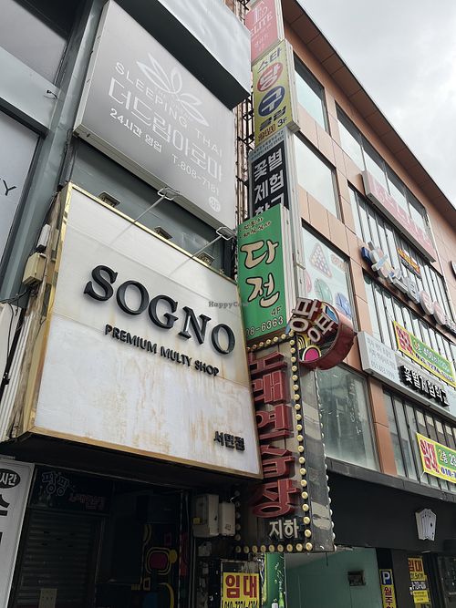   at Dajeon Cafe in Busan