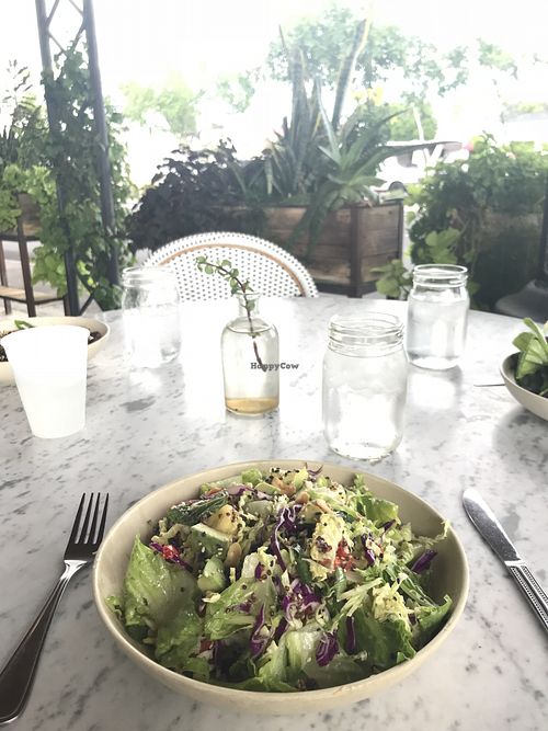 Vegan Restaurants in Phoenix, Arizona, USA