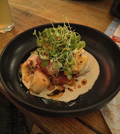 Pacific Taro at Matso's Sunshine Coast Brewery in Eumundi