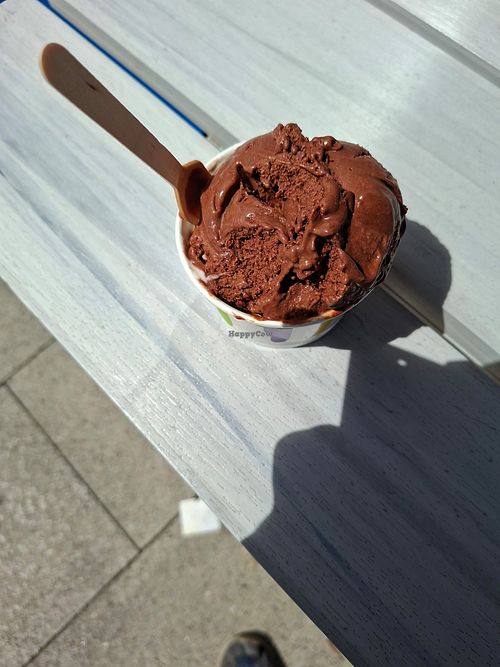 Vanilla and chocolate ice cream at Delights in Hadleigh