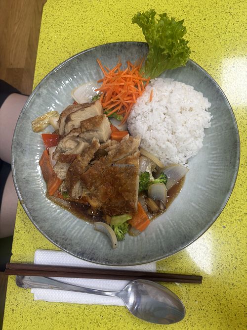 Chay peking duck  at Ananda - Vegan and Vegetarian House in Nordrhein-westfalen