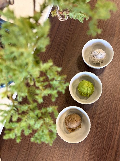 Vegan ice cream at Megumi Japanese in Inverell