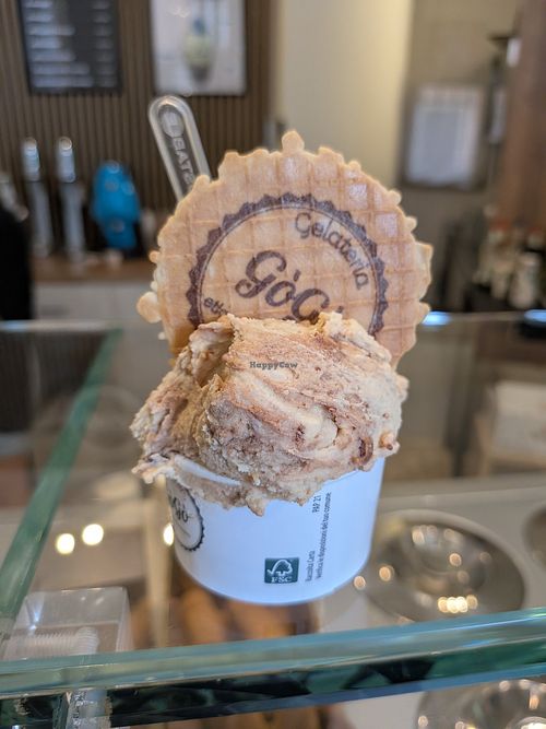 Vegan Peanut ice cream at Gelateria GóGó in Verona