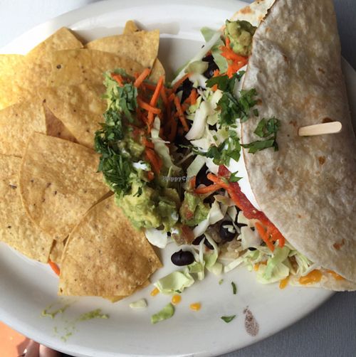 House Burrito at Active Culture in San Clemente