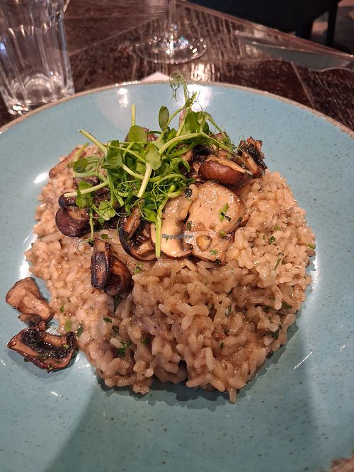 Vegan mushroom risotto at Marco Polo in Newcastle Upon Tyne