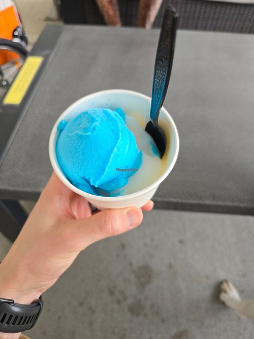 Sorbet at Scoop Shack in Indianapolis