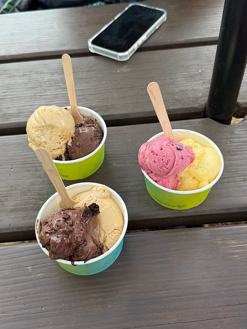 Two Tubs of Chocolate and Slated Caramel Ice Cream (left) and One Tub of Mango and Blackcurrant Sorbet at The Ice Cream Parlour in Dawlish