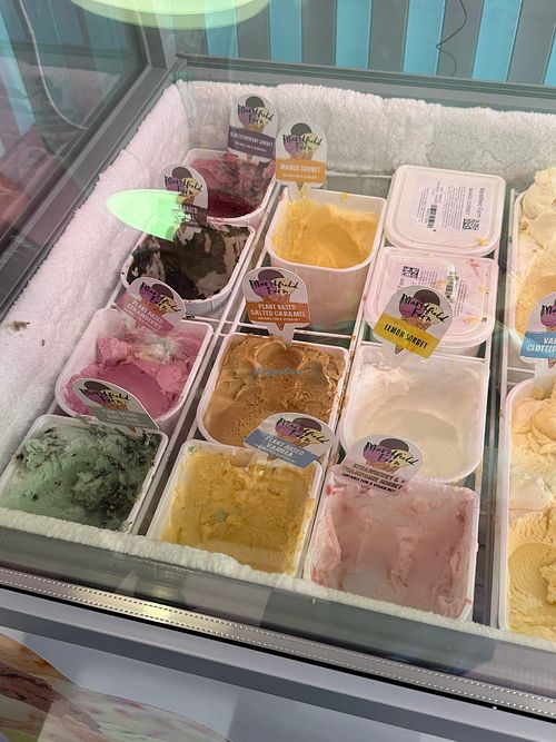 All the Vegan Options! at The Ice Cream Parlour in Dawlish