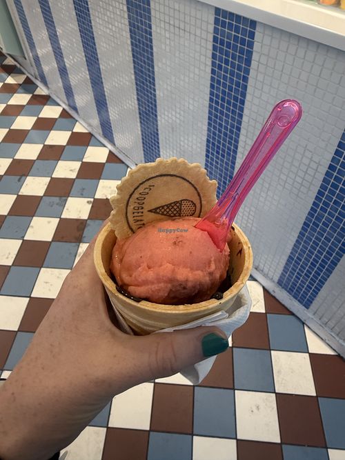 Vegan strawberry on top of vegan dark chocolate. Cashier affirmed bowl is vegan friendly.  at Scoop Dessert Parlour in Dublin