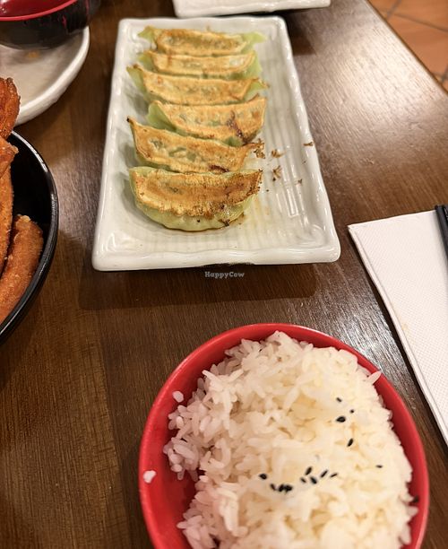 vegetable gyoza and steamed rice   at Oshima in Frankston