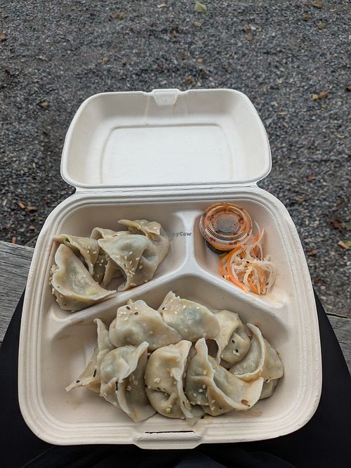 Vegan dumplings with tofu and spinach at Soja Soja dumpling & restaurant in Sollentuna