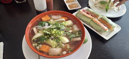 Vegan pho amd fresh rolls at Pho Blue Basil Restaurant in Belleville