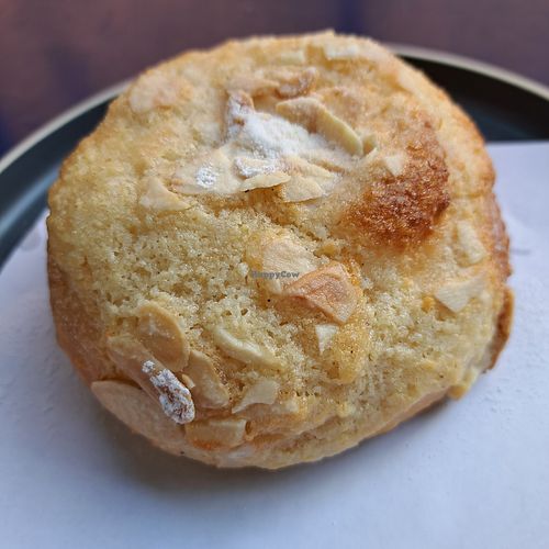  at Vegan Art in Naples