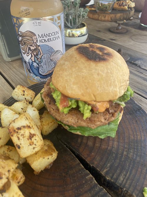 Veganator Burger w/Potatoes & Fresca-Kiwi Kombucha  at Verde Vegan in Acapulco