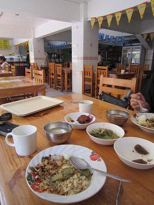 Clean and Spacious Restaurant at Oasis Vegetaurant in Chiang Rai