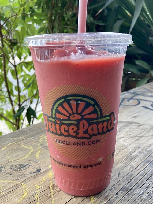 JuiceLand Cesar Chavez Austin Texas Restaurant HappyCow