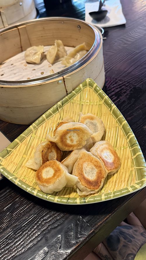 Tofu pot stickers  at Dumpling World in Pearland