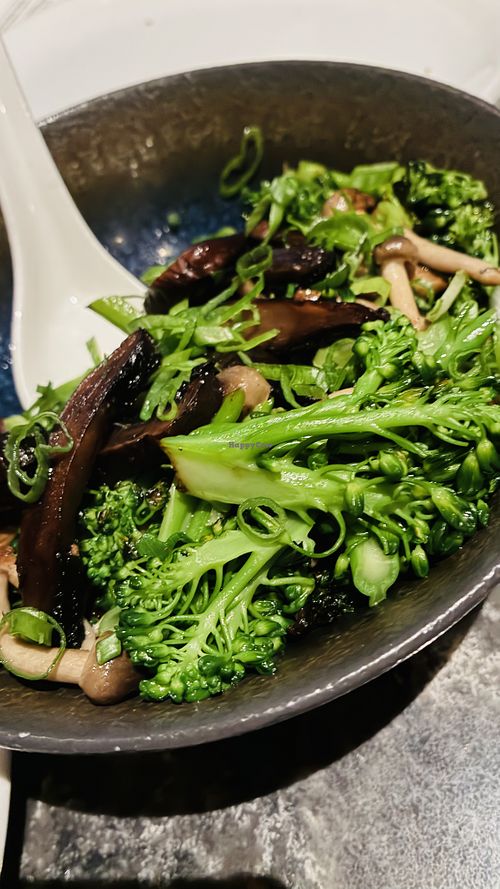 From Imoto Menu - TEPPANYAKI: GRILLED MUSHROOMS I broccolini, ponzu, black truffle,  (omit Parmesan)  at Buccan Sandwich Shop in Palm Beach