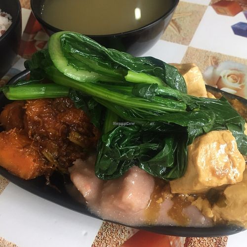 Lunch (pumplin, taro, and tofu) at Ka Ka Lok Fast Food Shop in New Territories