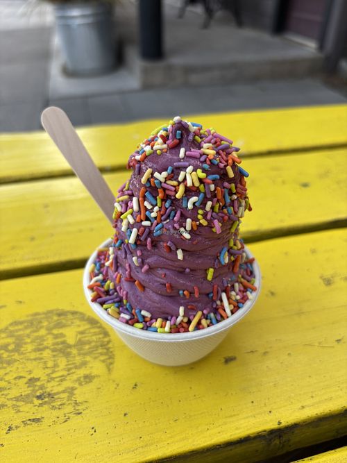 Marionberry with rainbow sprinkles   at Birdsong Ice Cream in Bend