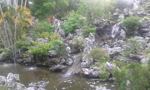 Gardens 4 at Wun Chuen Vegetarian Centre in New Territories