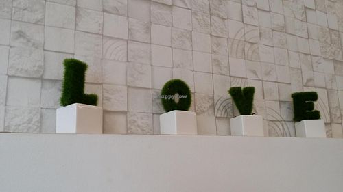 Deco at Louvre Veggie in Butterworth