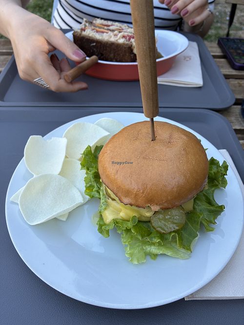 Burger and Sandwich   at Sandwitch in Porto