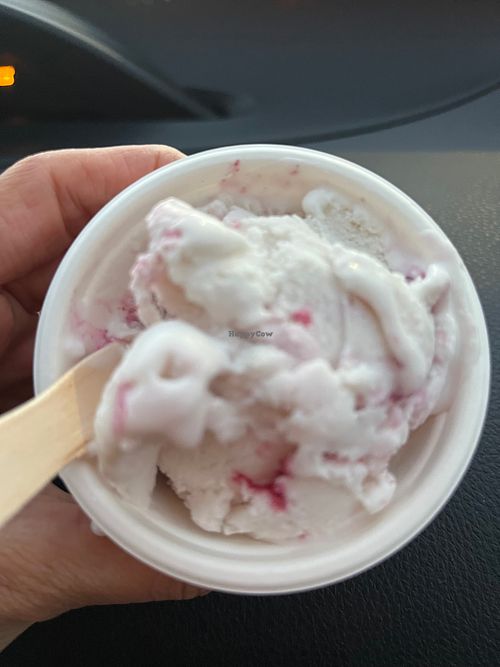 Vegan berry swirl at Nature's Organic Ice Cream - Campbell  in Campbell