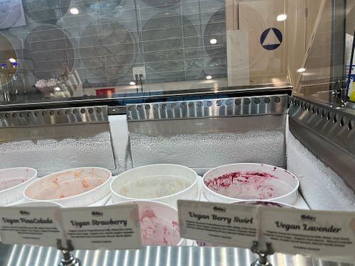 Vegan offerings at Nature's Organic Ice Cream - Campbell  in Campbell